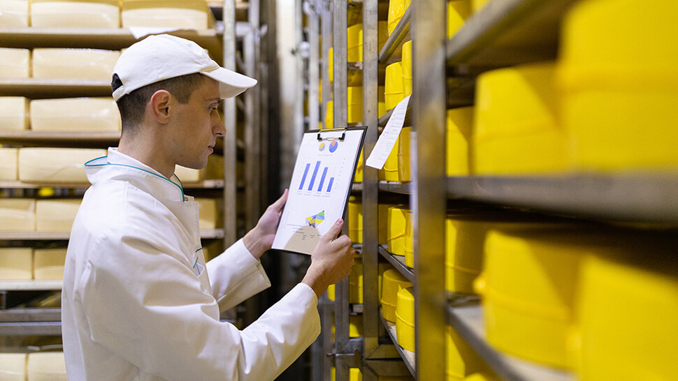 Employee checking cheese wheel statistics